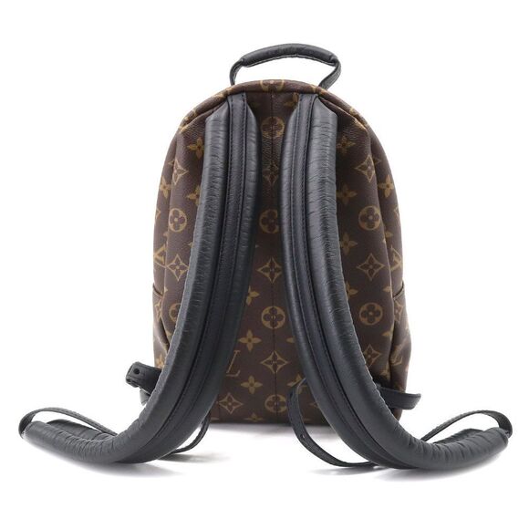 Louis Vuitton Monogram Palm Springs Backpack PM Backpack Brown - Picture 2 of 8